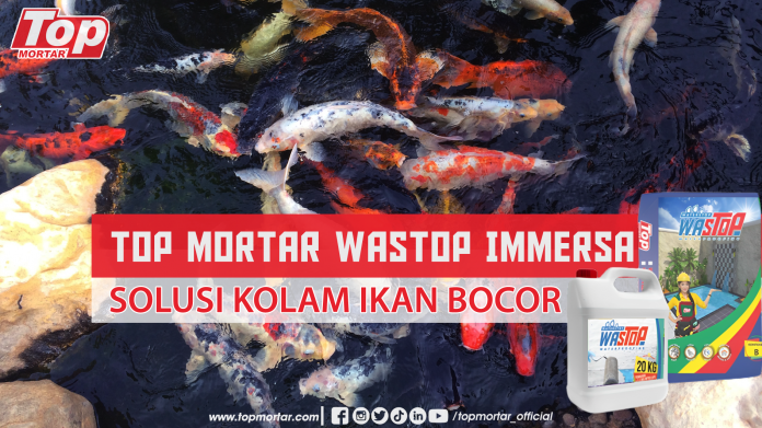 top mortar wastop immersa solusi kolam ikan bocor